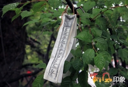 凯风印象：藏地记忆