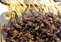 凯风印象：这些恐怖的另类美食，您敢吃么？