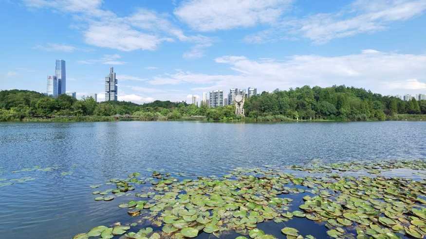 推窗见绿 出门入园——中国多地建设“千园之城”