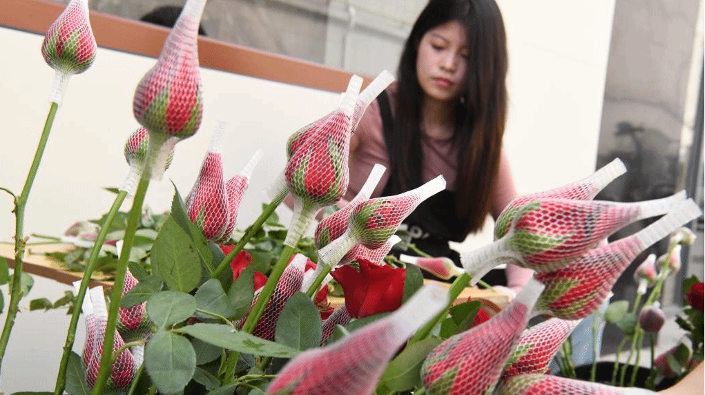 “七夕”至 鲜花俏销