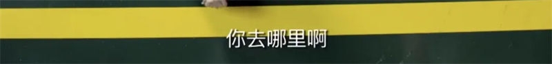 說明: https://xczx.news.cn/20240903/eb6dbe8e99f3405eac0bb58285224108/20240903eb6dbe8e99f3405eac0bb58285224108_20240903ebfd83e4f7e74e9483ef9b5659153289.jpg