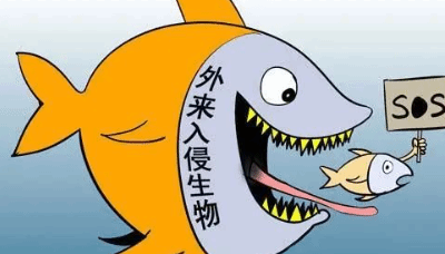海关总署部署开展严防外来物种入侵三年专项行动