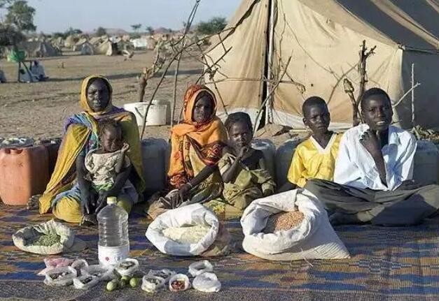 世粮署：粮食援助每减少1%可能将逾40万人推向饥饿边缘