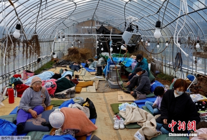 當(dāng)?shù)貢r(shí)間1月2日，日本石川縣輪島市，地震發(fā)生后，民眾在改建為疏散中心的溫室?guī)づ駜?nèi)休息。據(jù)日本共同社消息，當(dāng)?shù)貢r(shí)間1月2日晚，日本石川縣政府發(fā)布消息稱，截至目前，1月1日發(fā)生的能登半島7.6級強(qiáng)震已致55人死亡。地震造成部分房屋倒塌、地面下沉。另據(jù)日本廣播協(xié)會(NHK)報(bào)道，震中附近地區(qū)受災(zāi)情況嚴(yán)重，石川縣和富山縣等地已有超3萬人避難。