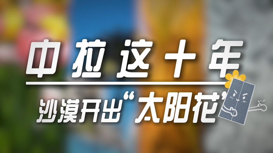 中拉這十年   沙漠開出“太陽花”