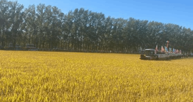 寒露节气秋收忙 黑龙江7627.94万亩粮食作物已收完