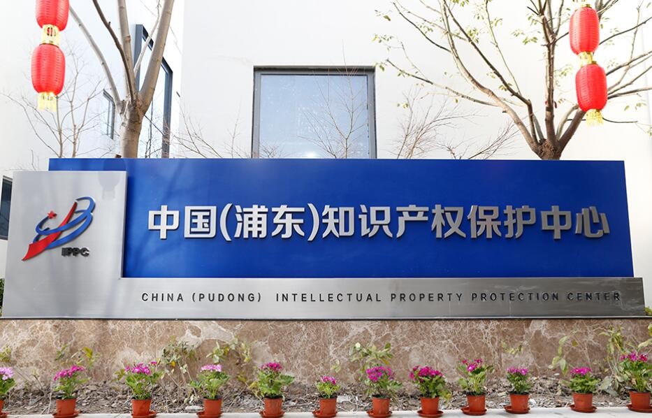 上海浦东高标准推进国家知识产权保护示范区建设