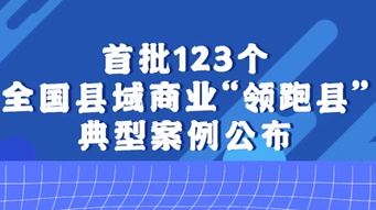 首批123个全国县域商业“领跑县”典型案例公布