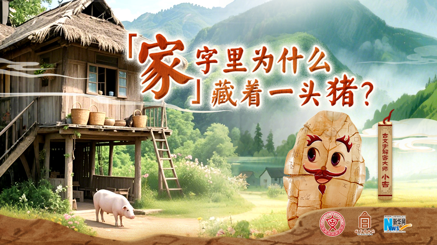 字古以來(lái)丨“家”字里為什么藏著一頭豬？