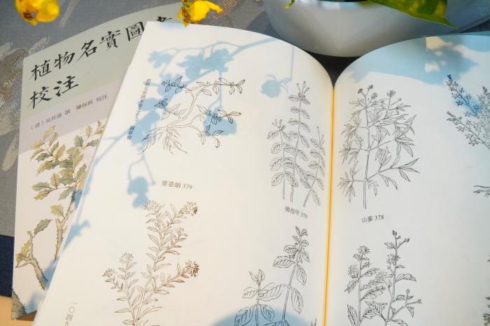 《植物名實(shí)圖考校注》內(nèi)頁(yè)。圖片來(lái)源：中華書局供圖