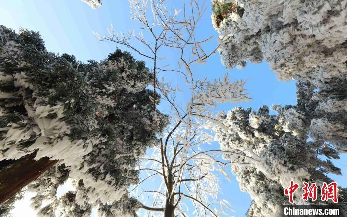 資料圖：黃石寨景區(qū)雪后初霽。吳勇兵 攝