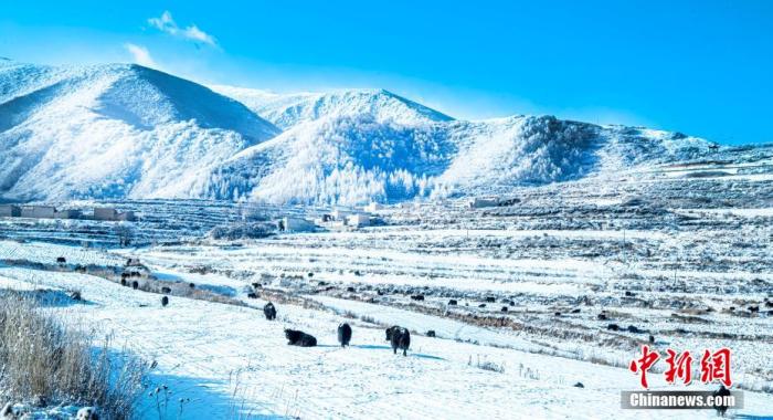 資料圖：初冬時節(jié)，蘭州市榆中縣馬坡鄉(xiāng)迎來降雪，一場冬雪過后，村莊田野沐浴在雪景中，藍(lán)天白雪下，似童話世界。張學(xué)江 攝