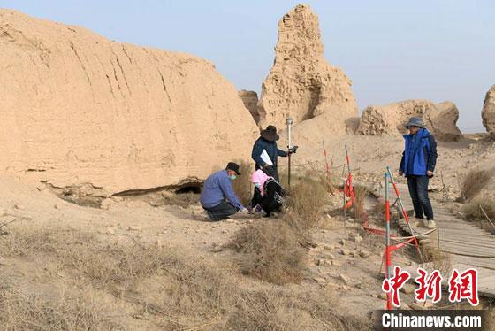 甘肅鎖陽城塔爾寺遺址等3個考古發(fā)掘項目揭新發(fā)現(xiàn)
