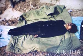 李洪志及其邪教