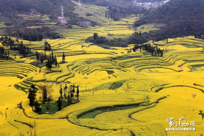 牛街“螺絲田”是由串珠巖溶漏斗地質(zhì)地貌構(gòu)成的自然景觀