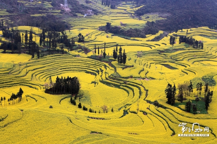 一圈一圈的梯田，遠(yuǎn)遠(yuǎn)看去真像是螺絲上的旋紋