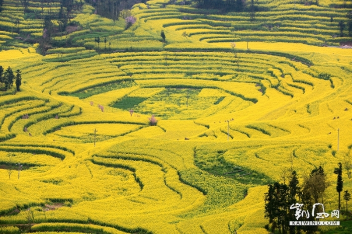 由不同農(nóng)作物形成的各種色塊造型，從中部的園形小盆地放射性展開(kāi)