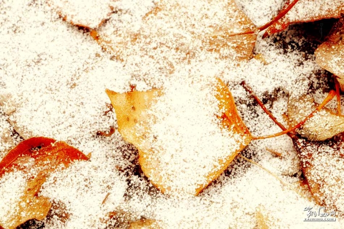 雪盡馬蹄輕