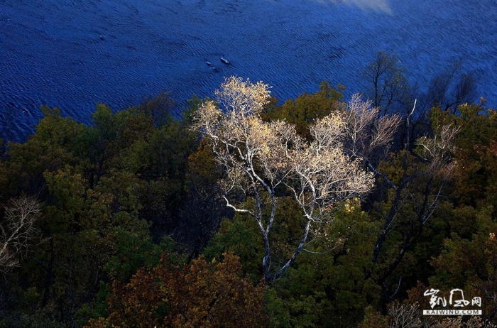 醉美楊樹溝