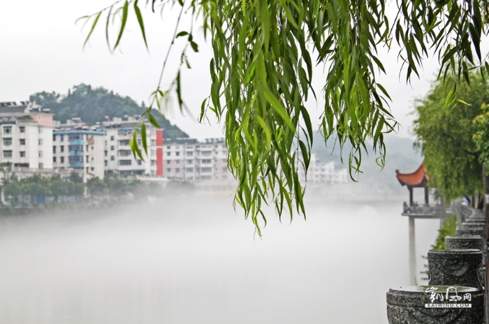 五百年的擁抱，一座城兩座橋
