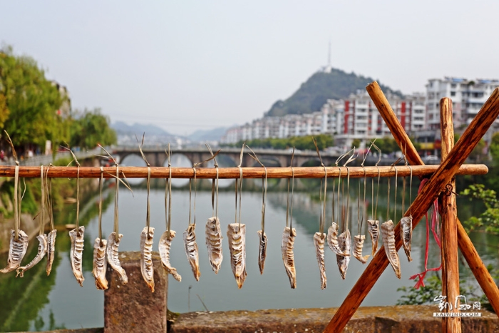 五百年的擁抱，一座城兩座橋