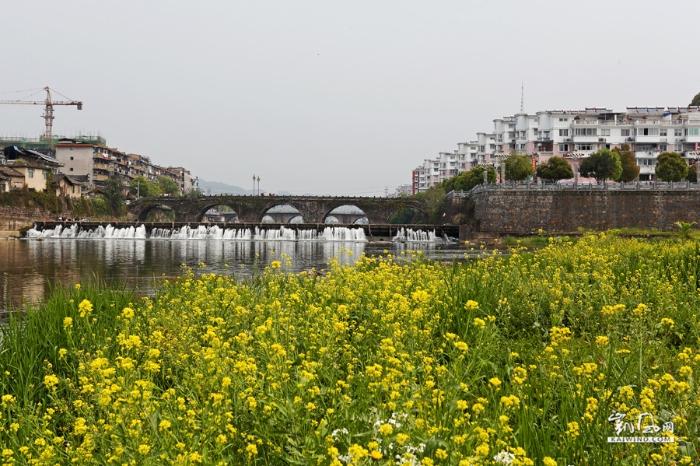五百年的擁抱，一座城兩座橋