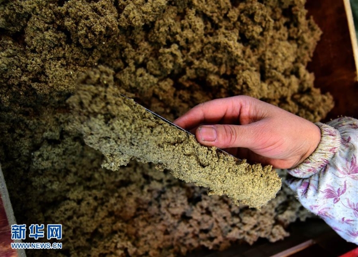 （產(chǎn)業(yè)扶貧）（5）蘄艾：一棵小草串起扶貧產(chǎn)業(yè)鏈