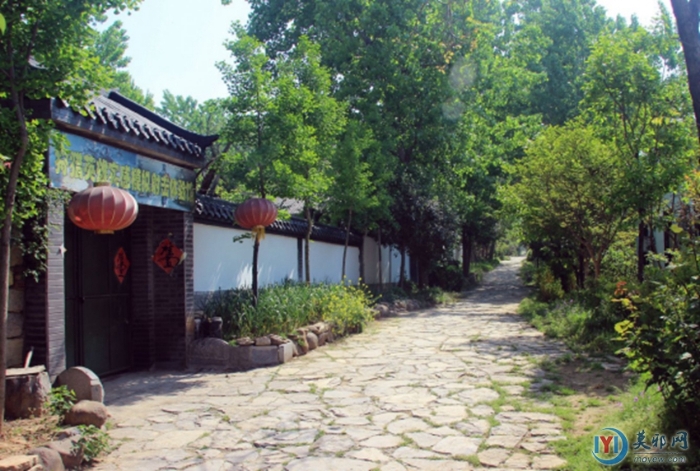 春游倪園村274 春游倪園村274