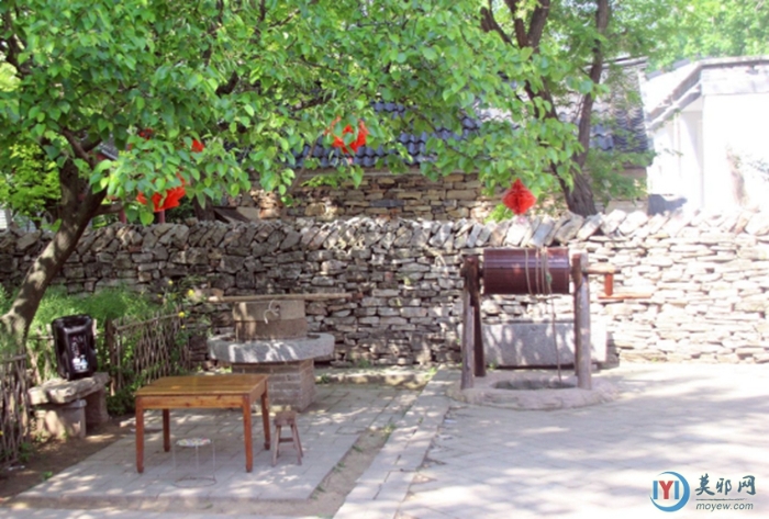 春游倪園村802 春游倪園村802