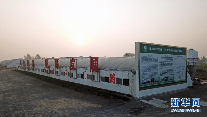 （奮進(jìn)新時(shí)代）（5）河南平頂山：現(xiàn)代生態(tài)循環(huán)農(nóng)業(yè)助力鄉(xiāng)村振興
