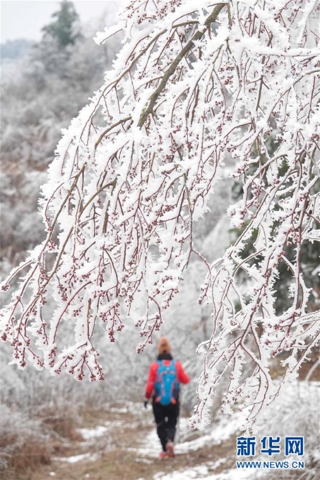 #（環(huán)境）（2）貴陽云霧山雪景醉游人