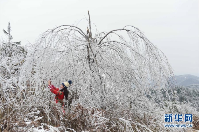 #（環(huán)境）（4）貴陽云霧山雪景醉游人
