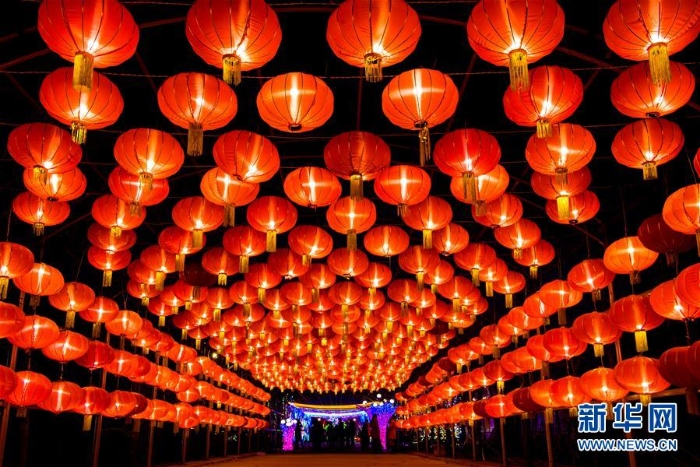 #（社會(huì)）（2）賞花燈 度春節(jié)