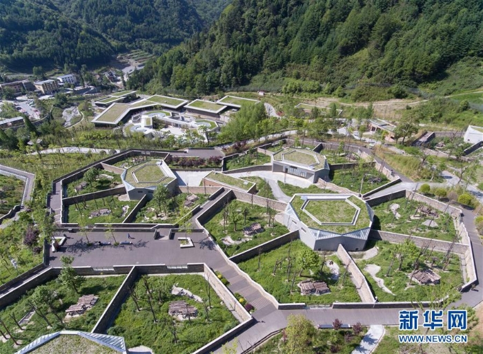 （社會(huì)）（10）藏在綠水青山間的大熊貓“幼兒園”