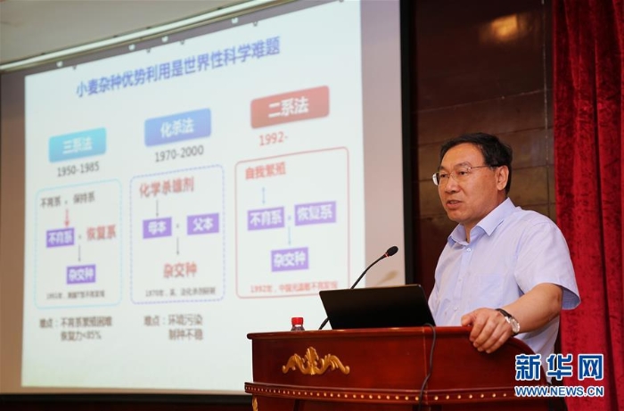 （社會(huì)）（2）全國(guó)雜交小麥學(xué)術(shù)研討會(huì)在河南鄧州舉行