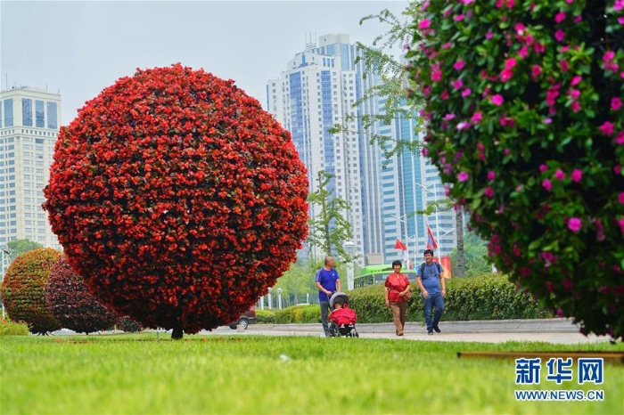 （上合青島峰會）（4）青島歡迎你，上合