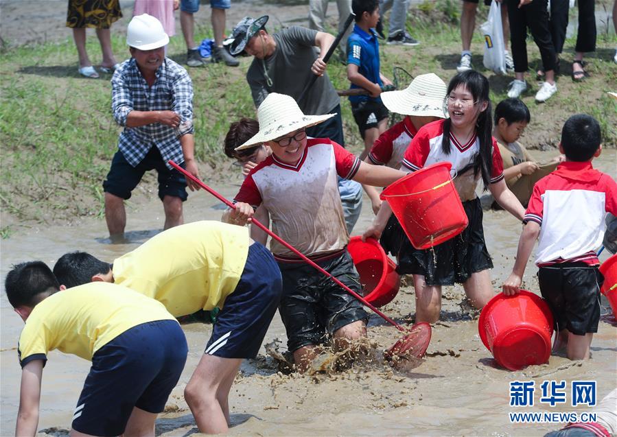 6月7日，孩子和家長們參加渾水摸魚趣味活動。新華社記者 徐昱 攝