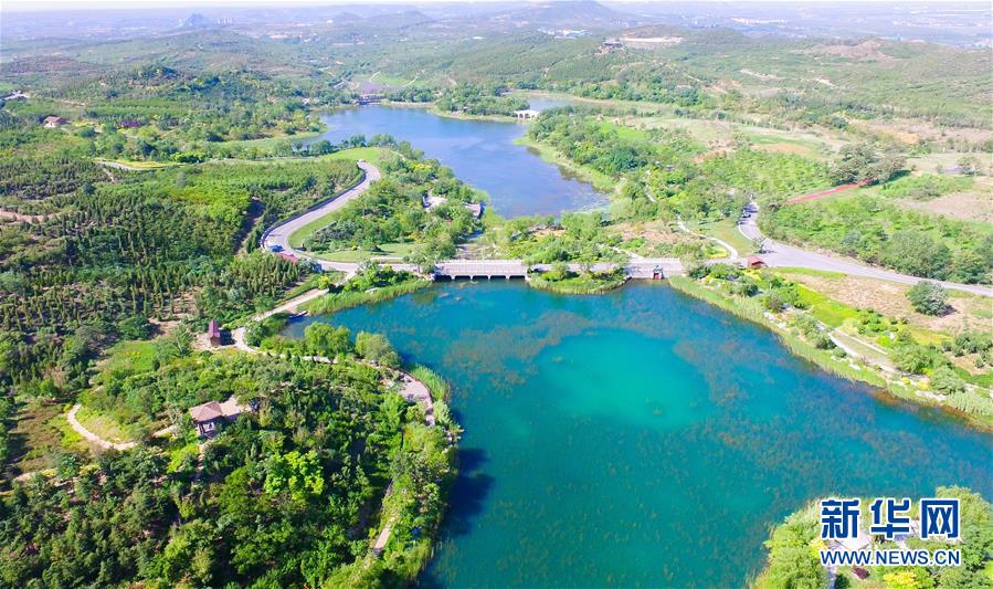 6月14日拍攝的河北省邯鄲市叢臺區(qū)紫山生態(tài)涵養(yǎng)區(qū)（無人機照片）。 新華社記者 朱旭東 攝