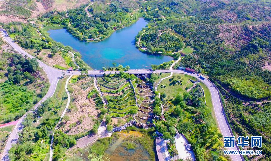 6月14日拍攝的河北省邯鄲市叢臺區(qū)紫山生態(tài)涵養(yǎng)區(qū)（無人機照片）。 新華社記者 朱旭東 攝