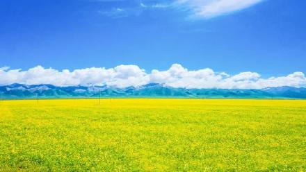 中國十大最美旅游地，你打卡了幾個？