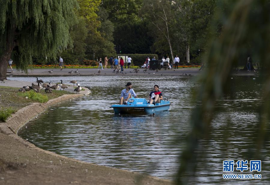 7月31日，人們?cè)谟?guó)倫敦?cái)z政公園的湖中踩腳踏船。新華社記者 韓巖 攝