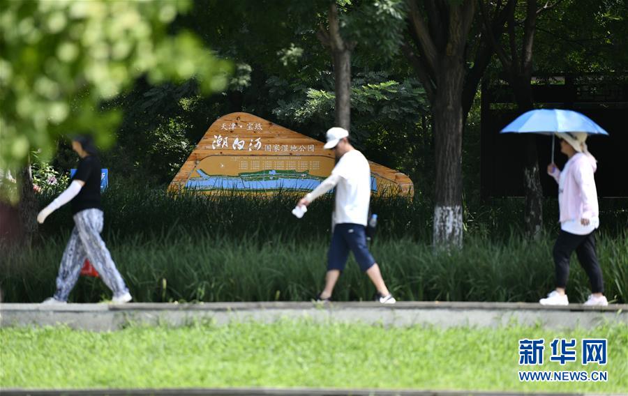 8月3日，人們在潮白河國家濕地公園內(nèi)散步。 天津市寶坻區(qū)潮白河國家濕地公園總面積超5000公頃，公園以潮白河為主軸，依托兩岸植被建設生態(tài)廊道，形成以濕地體驗、濱水游憩為主的開放式公園。據(jù)了解，2019年底，潮白河國家濕地公園通過驗收，成為天津市首批國家級濕地公園。 新華社記者 李然 攝