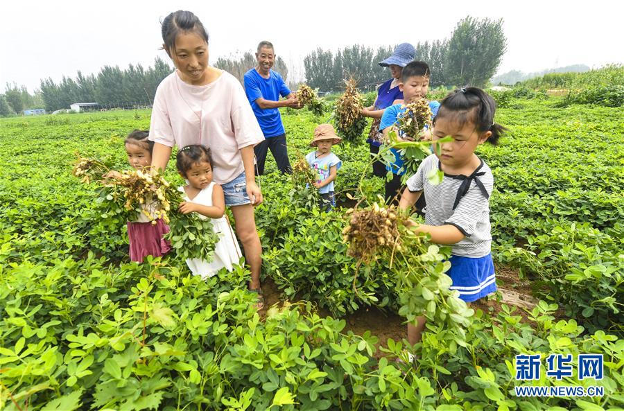 8月6日，游客在河北省永清縣劉街鄉(xiāng)的鄉(xiāng)村賽馬場內(nèi)休閑。 近年來，河北省永清縣采取“農(nóng)業(yè)+文化+旅游”方式，整合農(nóng)業(yè)、人文、生態(tài)等資源優(yōu)勢，通過召開旅發(fā)大會等形式，打造休閑游、采摘游、親子游等特色旅游活動，積極推動鄉(xiāng)村旅游發(fā)展，促進當(dāng)?shù)厝罕娋蜆I(yè)增收，助力鄉(xiāng)村振興。 新華社記者 李曉果 攝
