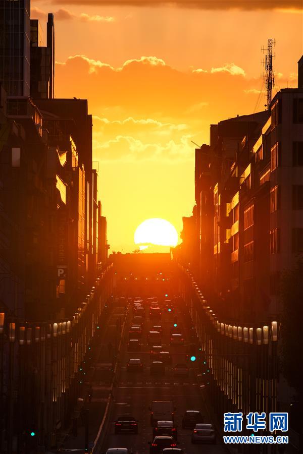 這是8月21日在比利時(shí)首都布魯塞爾拍攝的落日景觀。 當(dāng)日，夕陽(yáng)從布魯塞爾法律大街上空緩緩下落，形成獨(dú)特的落日景觀。 新華社記者 張鋮 攝