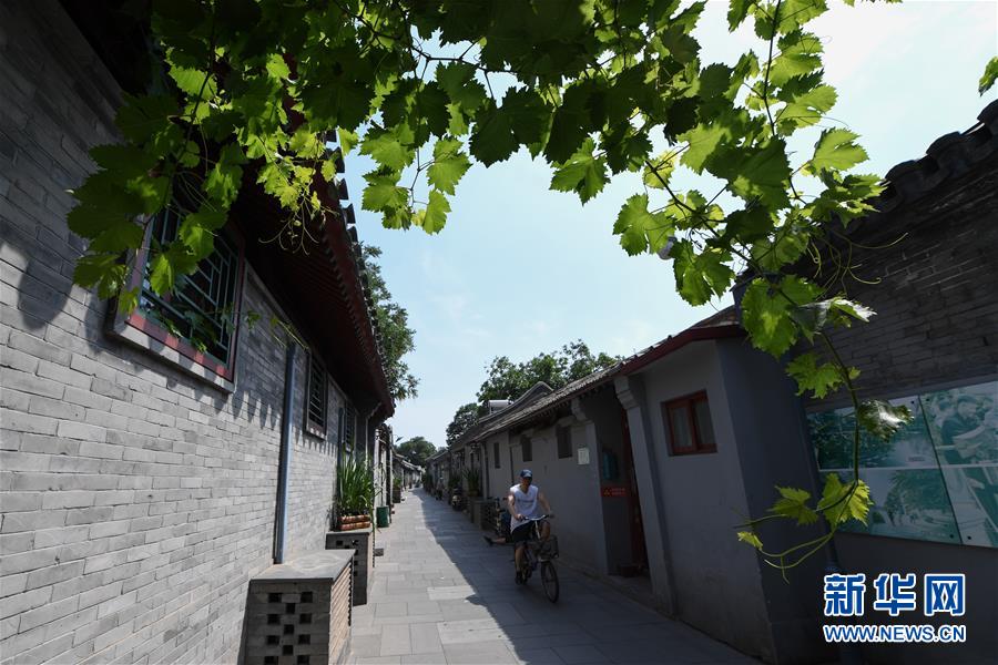 市民騎行在北京市東城區(qū)草廠四條胡同（6月12日攝）。 新華社記者 鞠煥宗 攝走向我們的小康生活丨小橋、流水、書(shū)香、人家——老北京胡同里的恬靜棲居