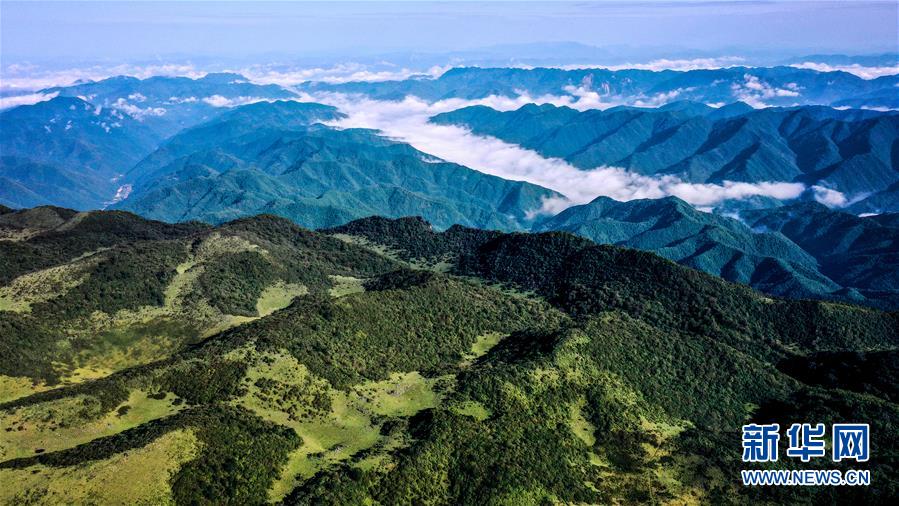 9月17日無(wú)人機(jī)拍攝的陜西紫柏山國(guó)家森林公園。 雨后初霽，位于陜西省漢中市留壩縣的紫柏山國(guó)家森林公園內(nèi)云霧升騰，宛如畫(huà)境。 新華社記者 劉瀟 攝