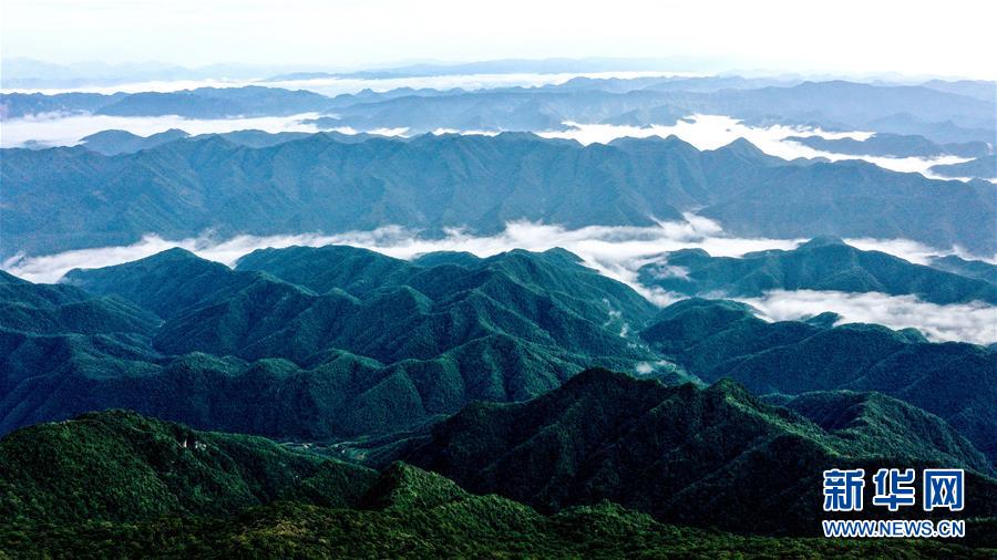 9月17日無(wú)人機(jī)拍攝的陜西紫柏山國(guó)家森林公園。 雨后初霽，位于陜西省漢中市留壩縣的紫柏山國(guó)家森林公園內(nèi)云霧升騰，宛如畫(huà)境。 新華社記者 劉瀟 攝