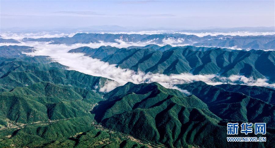 9月17日無(wú)人機(jī)拍攝的陜西紫柏山國(guó)家森林公園。 雨后初霽，位于陜西省漢中市留壩縣的紫柏山國(guó)家森林公園內(nèi)云霧升騰，宛如畫(huà)境。 新華社記者 劉瀟 攝