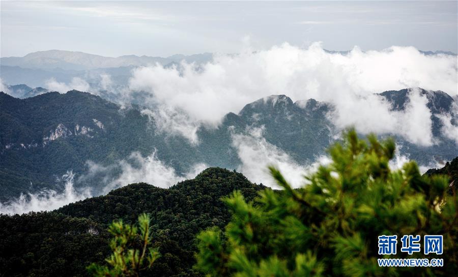 9月17日拍攝的陜西紫柏山國(guó)家森林公園。 雨后初霽，位于陜西省漢中市留壩縣的紫柏山國(guó)家森林公園內(nèi)云霧升騰，宛如畫(huà)境。 新華社記者 劉瀟 攝