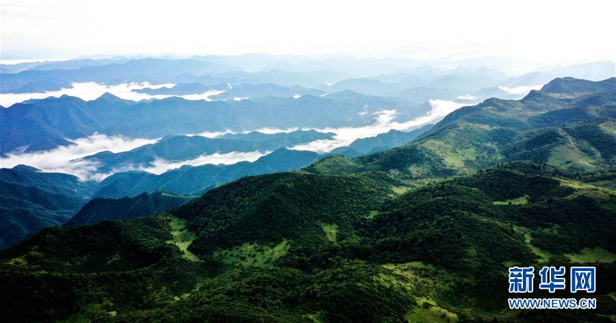 9月17日無(wú)人機(jī)拍攝的陜西紫柏山國(guó)家森林公園。 雨后初霽，位于陜西省漢中市留壩縣的紫柏山國(guó)家森林公園內(nèi)云霧升騰，宛如畫(huà)境。 新華社記者 劉瀟 攝